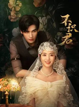 《不识君》全集高清完整版在线观看与剧情解析