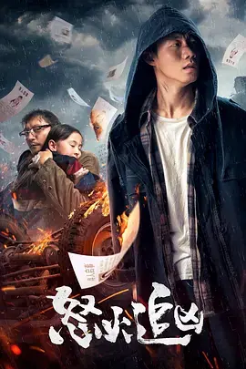 《怒火追凶》全集高清完整版在线观看与剧情解析