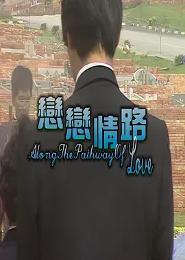 《恋恋情路》全集高清完整版在线观看与剧情解析