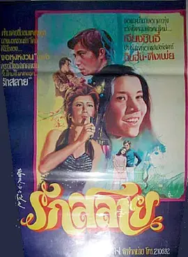 《春天里的秋天》全集高清完整版在线观看与剧情解析