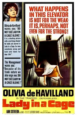 《电梯惊魂》全集高清完整版在线观看与剧情解析