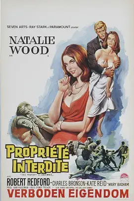 《蓬门碧玉红颜泪》全集高清完整版在线观看与剧情解析