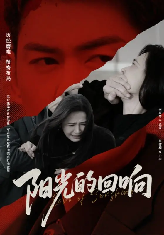 《阳光的回响》全集高清完整版在线观看与剧情解析