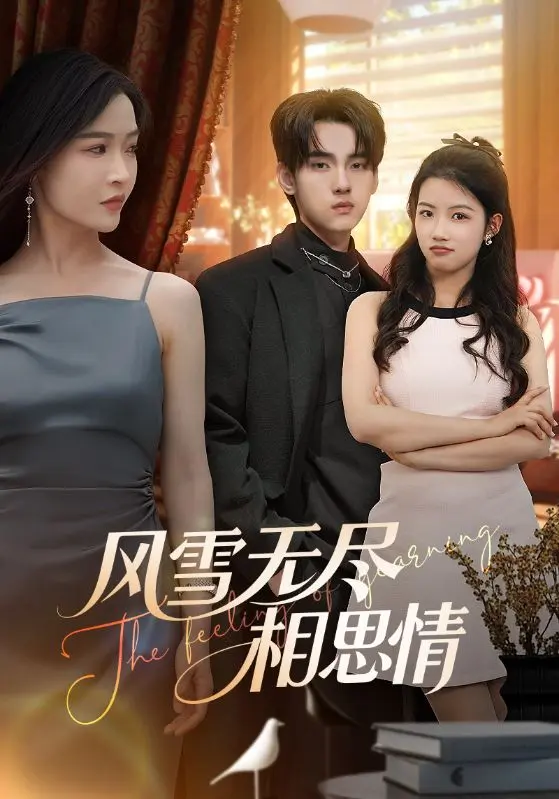《风雪无尽相思情》全集高清完整版在线观看与剧情解析