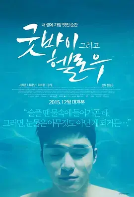 《再见，你好》全集高清完整版在线观看与剧情解析