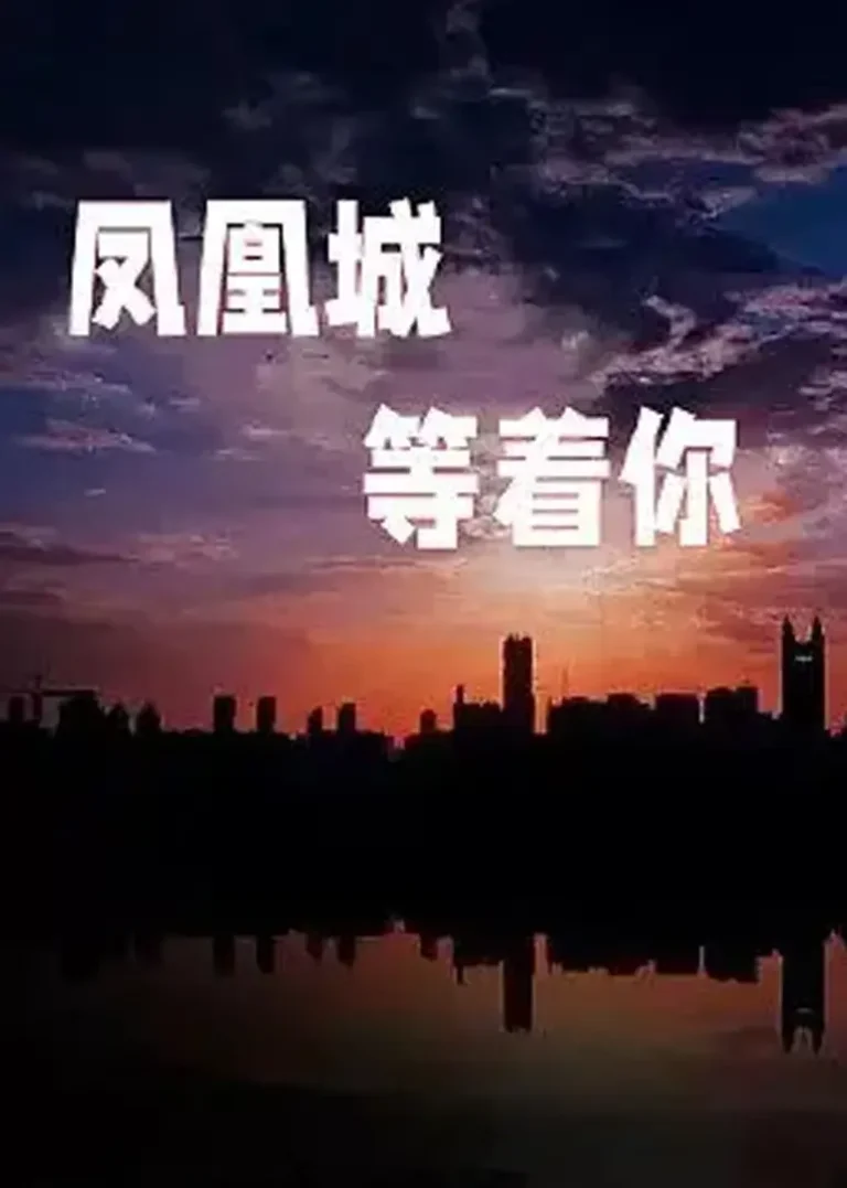 《凤凰城等着你》全集高清完整版在线观看与剧情解析