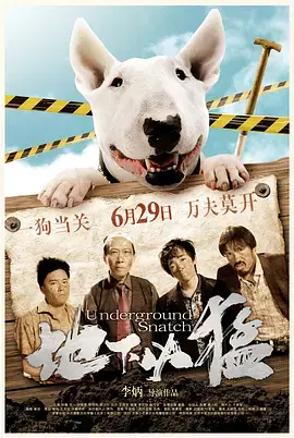 《地下凶猛》全集高清完整版在线观看与剧情解析