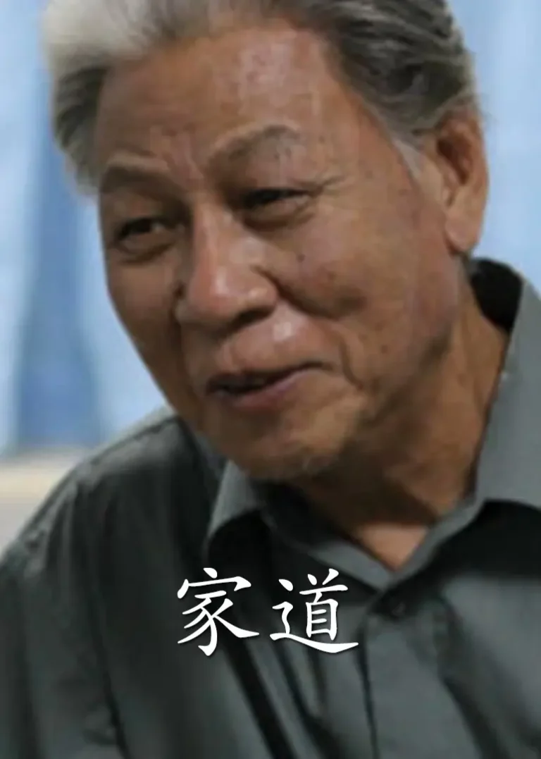 《家道2014》全集高清完整版在线观看与剧情解析