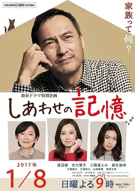 《幸福的记忆》全集高清完整版在线观看与剧情解析
