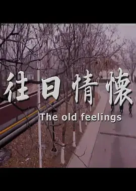 《往日情怀2017》全集高清完整版在线观看与剧情解析