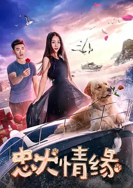 《忠犬情缘》全集高清完整版在线观看与剧情解析