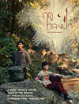 《爱在森林里》全集高清完整版在线观看与剧情解析